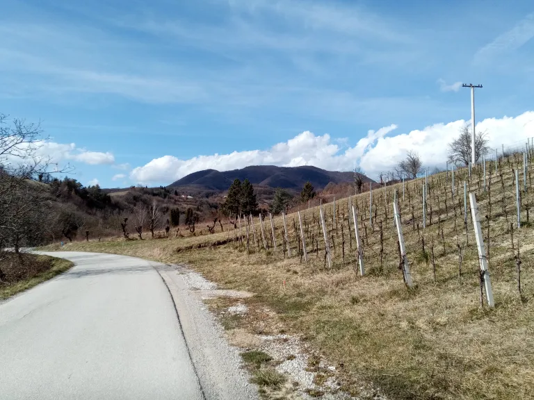 View of Japetić from the descent