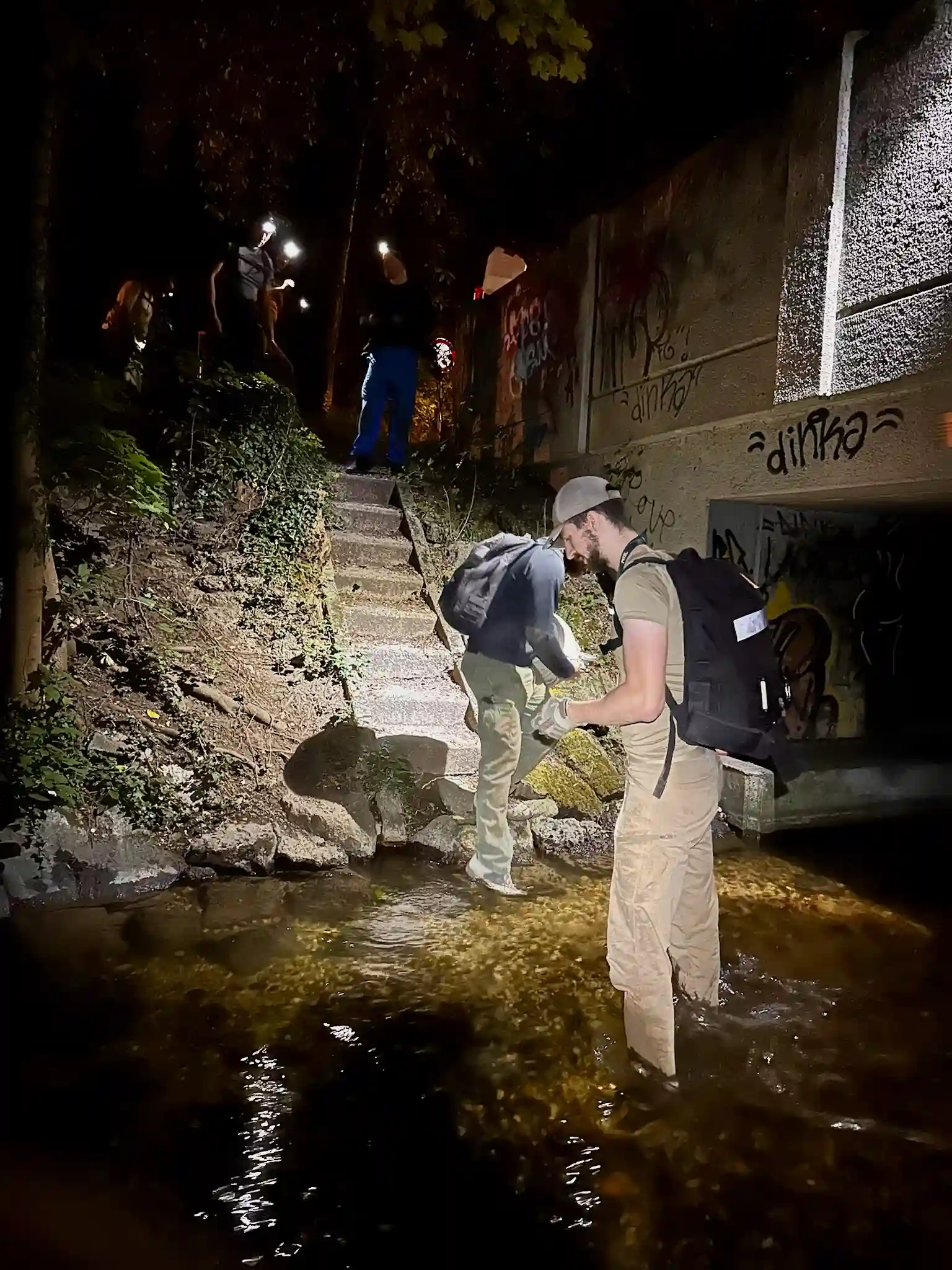 The author taking the initiative to start the next objective.